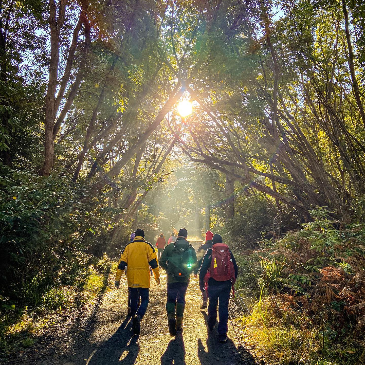 Consultancy & Support Services